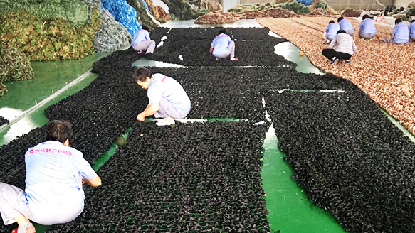 泰州拓野戶外用品 泰州拓野戶外用品