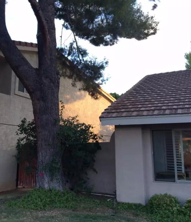 QQ截圖20180627174330