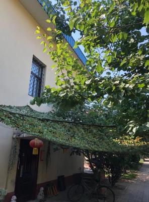 TB2ZeEUkCMmBKNjSZTEXXasKpXa_!!0-rate.jpg_400x400 TB2ZeEUkCMmBKNjSZTEXXasKpXa_!!0-rate.jpg_400x400