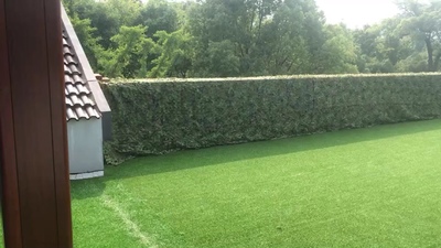 TB2TNttpiOYBuNjSsD4XXbSkFXa_!!0-rate.jpg_400x400