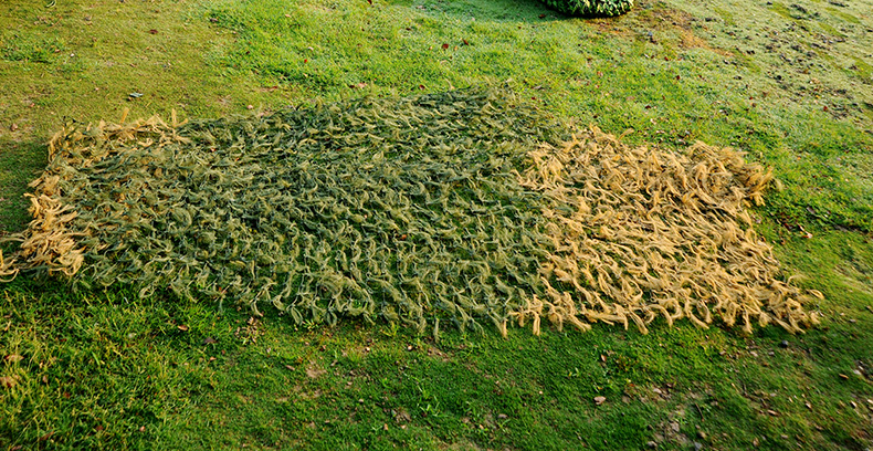 松針偽裝網(wǎng) 松針偽裝網(wǎng)